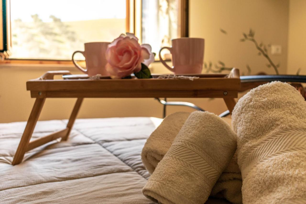 La Casa Del Nonno Bed & Breakfast Spoltore Екстериор снимка
