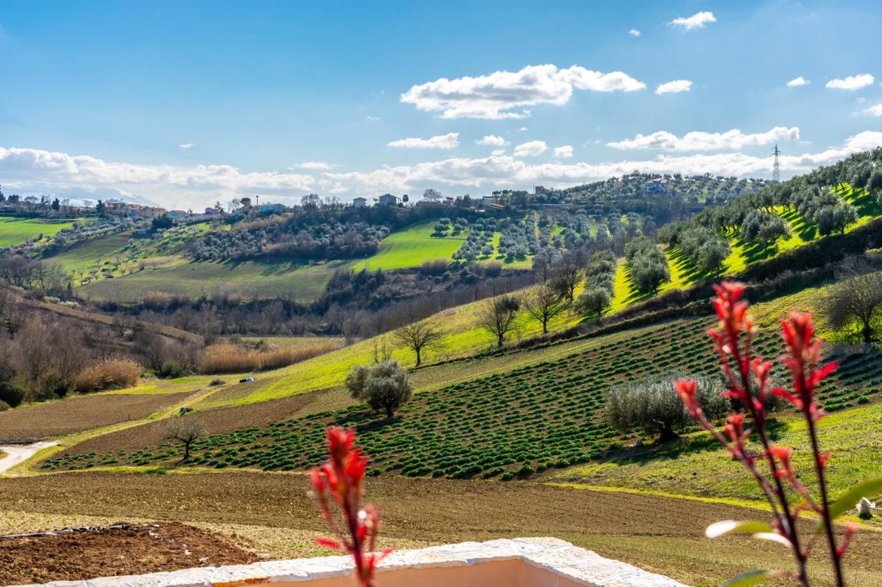 La Casa Del Nonno Bed & Breakfast Spoltore Екстериор снимка